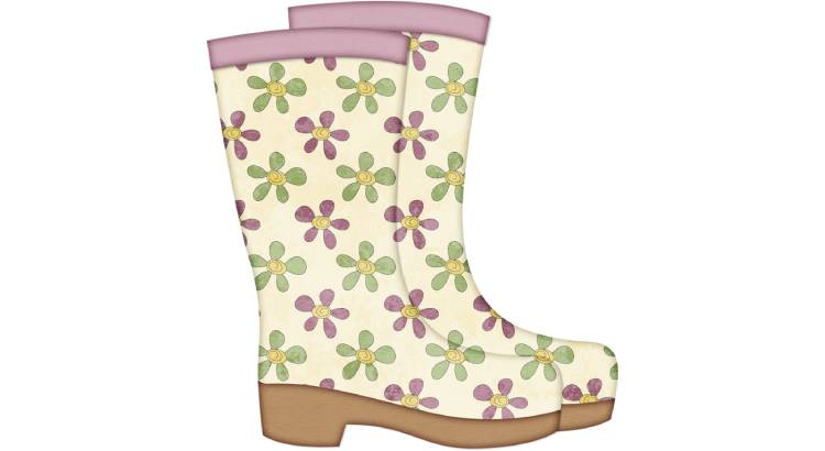 Заговоры на новую обувь из сериала Гадалка