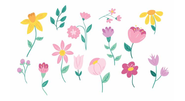 Гороскоп цветов по знакам зодиака